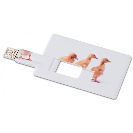 USB stik 16 GB incl farvefoto 1159A30