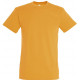 Soll´s Regent t-shirts incl tryk