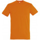 Soll´s Regent t-shirts incl tryk